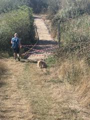 Near East Tilbury - the path was taped off, but no diversion, so we just walked through